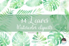 Leaves Watercolor clipart Product Image 1