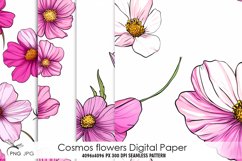 Cosmos flowers digital paper Product Image 1