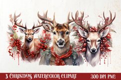 Watercolor Christmas Deer Sublimation Bundle, Christmas Deer Product Image 1