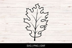 Hand Drawn Autumn Leaf SVG Product Image 1