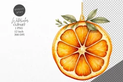 Christmas clipart, Dry orange slices, Winter clipart Product Image 1