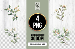 Watercolor Botanical Branch Clipart Sublimation PNG Product Image 1