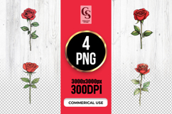 Elegant Red Rose Botanical Clipart Sublimation PNG Product Image 1