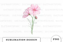 Watercolor Cosmos Flowers Bouquet png Product Image 1