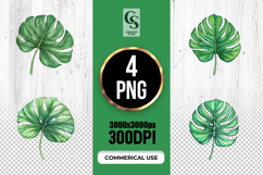 Green Monstera Leaf Watercolor Clipart Sublimation PNG Product Image 1