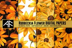 Rudbeckia Flower Digital Paper Pattern Product Image 1