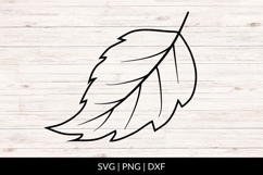 Hand Drawn Fall Leaf SVG Product Image 1
