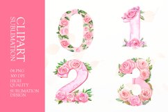Floral numbers clipart sublimation Product Image 1