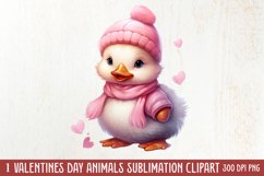 Valentines Day Animals Clipart, Valentines Couple Product Image 1