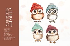 Watercolor owl clipart sublimation png Product Image 1