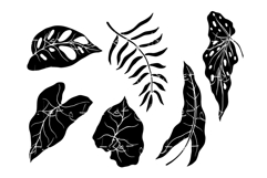 Set of silhouettes of tropical leaves. Product Image 1