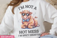 I&#039;m not a hot mess PNG, Funny Animal Sublimation PNG Product Image 2