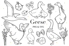 Geese Silhouette Clipart PNG SVG Product Image 1