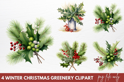 Winter Christmas Greenery Clipart PNG Product Image 1