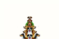 Merry Dogmas, Sublimation Digital Download, Dog Christmas Product Image 2