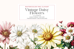 Watercolor Vintage Daisy Flowers Clipart Product Image 1