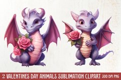 Valentines Day Animals Clipart, Valentines Couple Product Image 2