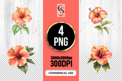 Watercolor Hibiscus Flower Clipart Sublimation PNG Product Image 1