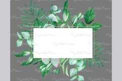 Tropical frame watercolor clipart PNG #w161 Product Image 2