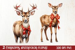 Watercolor Christmas Deer Sublimation Bundle, Christmas Deer Product Image 1