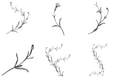 Botanical hand drawn plants, bouquets isolated on background Product Image 1