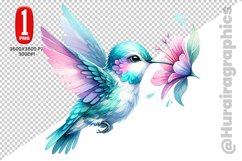 Cute Humming Bird Clipart - PNG File Product Image 1