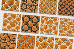 Digital Paper Marigold Flower Seamless Pattern Product Image 7
