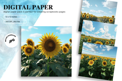 Sunflower Background Wallpaper Digital Paper Wall Art Product Image 1