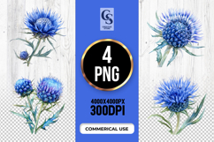 Blue Thistle Flower Clipart PNG Product Image 1