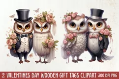 Couple Owl Valentines Day Clipart, Couple Owl Clipart Product Image 1