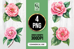Pink Camellia Flower Clipart Sublimation PNG Product Image 1