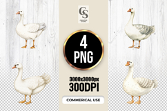 Watercolor White Goose Clipart Sublimation PNG Product Image 1