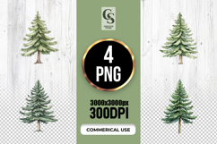 Watercolor Pine Tree Clipart Sublimation PNG Product Image 1