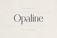 Opaline Elegant Modern Serif Font Product Image 1