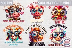 Sarcastic Animal Quote Bundle Sublimation Design of 17 PNG Product Image 2