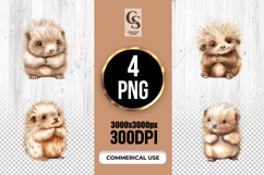 Cute Hedgehog Watercolor Clipart Sublimation PNG Product Image 1