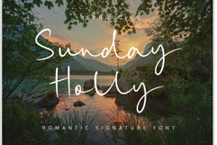 Sunday Holly Product Image 1
