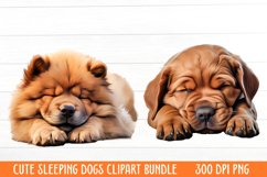 Cute Sleeping Dogs Clipart Product Image 1