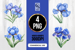 Blue Iris Flower Clipart PNG Product Image 1