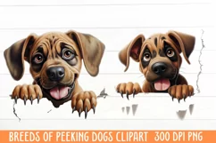 Breeds Of Peeking Dogs Clipart, Breeds of Peeking Dogs PNG Product Image 1