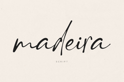 Madeira Elegant Signature Script Font Product Image 1