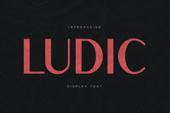 Ludic Modern Display Sans Serif Font Product Image 1