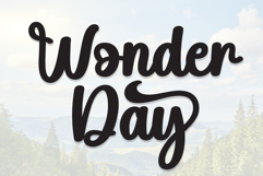 Wonder Day Product Image 1