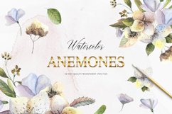 Watercolor Anemones Clipart, Neutral Flowers Product Image 1