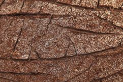 Cracked Brown Leaf Veins Silver Dust Texture Product Image 1