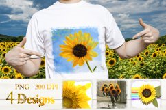 Sunflower Sublimation Design bundle, print with flower, PNG Product Image 1