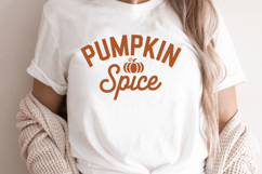 Pumpkin Spice Product Image 1