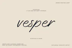 Vesper Modern Signature Script Font Product Image 1