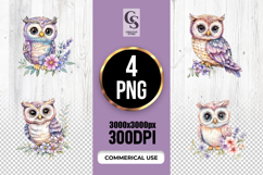 Floral Owl Watercolor Clipart Sublimation PNG Product Image 1