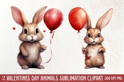 Valentines Day Animals Clipart, Valentines Couple Product Image 1